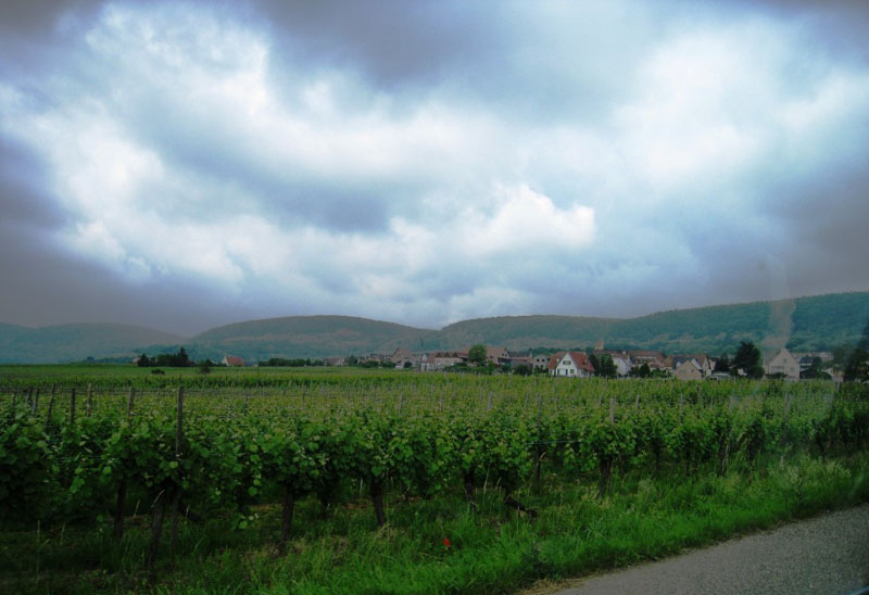 09 Route des vins_04