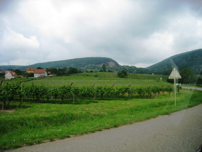 09 Route des vins_07