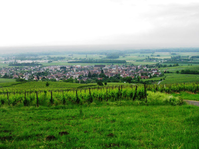 12 VisiteEguisheim_15