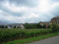 09 Route des vins_05