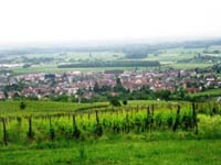 12 VisiteEguisheim_17