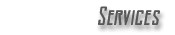services3g.gif (2332 bytes)